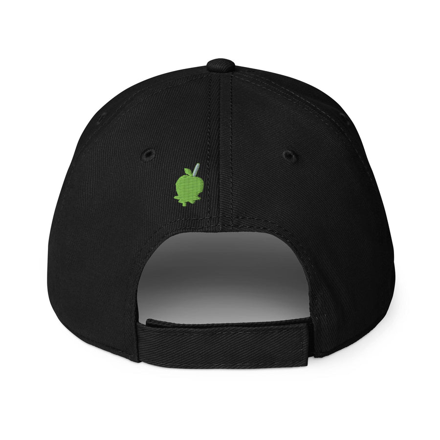 Classic Embroidered Dad Hat